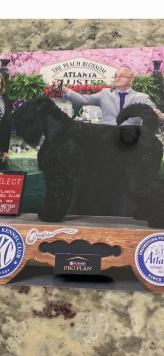 Ephraim Pittsley - Class of 1967 - Apponequet Regional High School