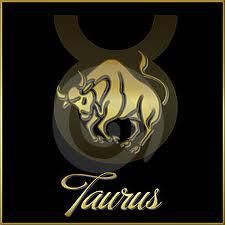 Taurus Bull - Class of 2001 - Wenonah High School