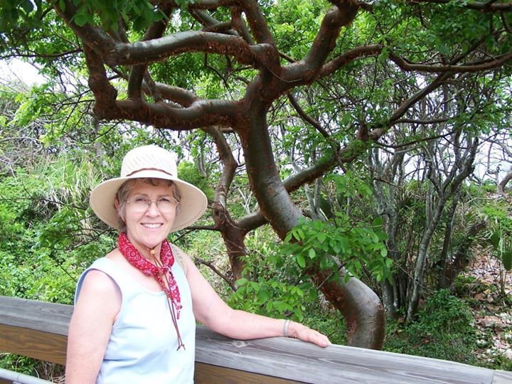 Sandra Johnson - Class of 1965 - New Plymouth High School