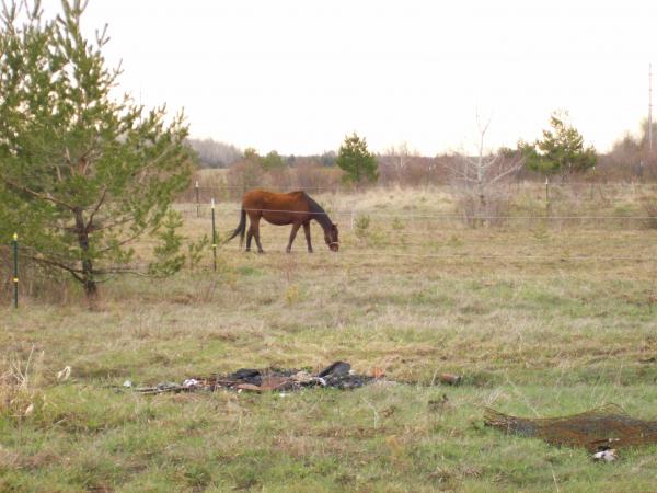 Joseph Pena - Class of 1999 - Superior High School