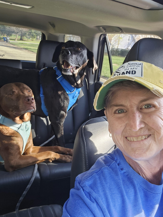 Cheryl Castner - Class of 1988 - Westfield High School