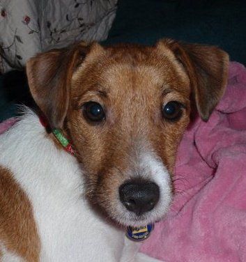 Kathy Kinney Cooper - Class of 1974 - Brownsburg High School