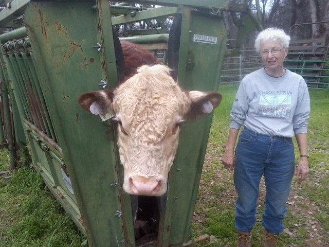 Linda Hulseman - Class of 1958 - Red Bluff High School