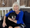 Carolyn Mckevitt