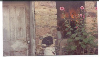 Mary Deubner - Class of 1973 - Milton-union High School