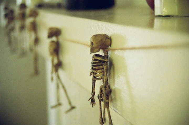 Leslie Duggar - Class of 1998 - Douglas High School