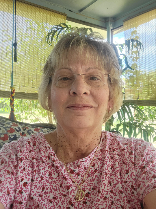 Donna L Mau Willis - Class of 1976 - Rosemount High School