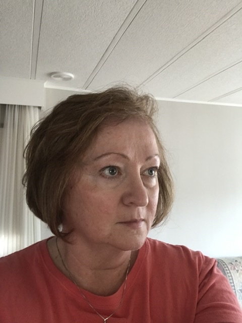 Linda Palmatier - Class of 1975 - Henry Sibley High School