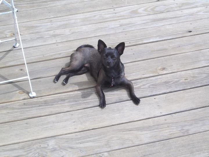 Gary Mallonee - Class of 1993 - Buckhannon-upshur High School