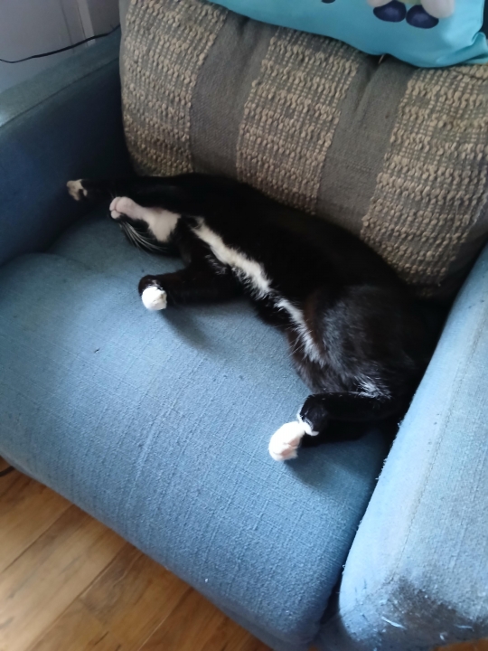 Barbara Heflin - Class of 1970 - Buckhannon-upshur High School