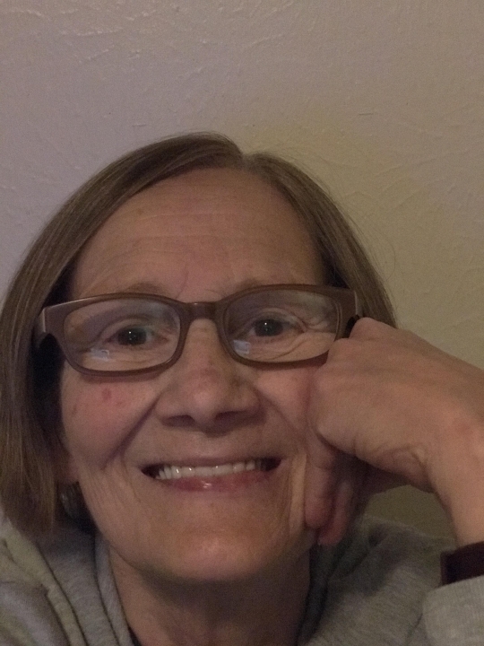 Kathy Ellis - Class of 1975 - Gilbert High School