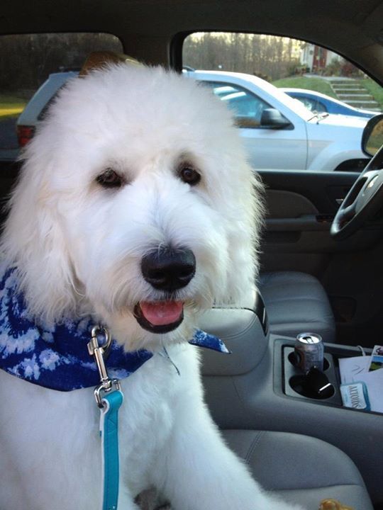 Penny Doodle - Class of 1977 - Wheaton High School