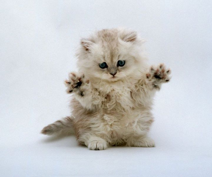 Marty Clark - Class of 1982 - North Marion High School