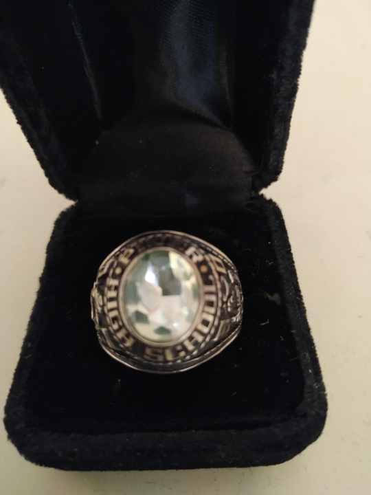 John Abrahamson - Class of 1980 - Piner High School