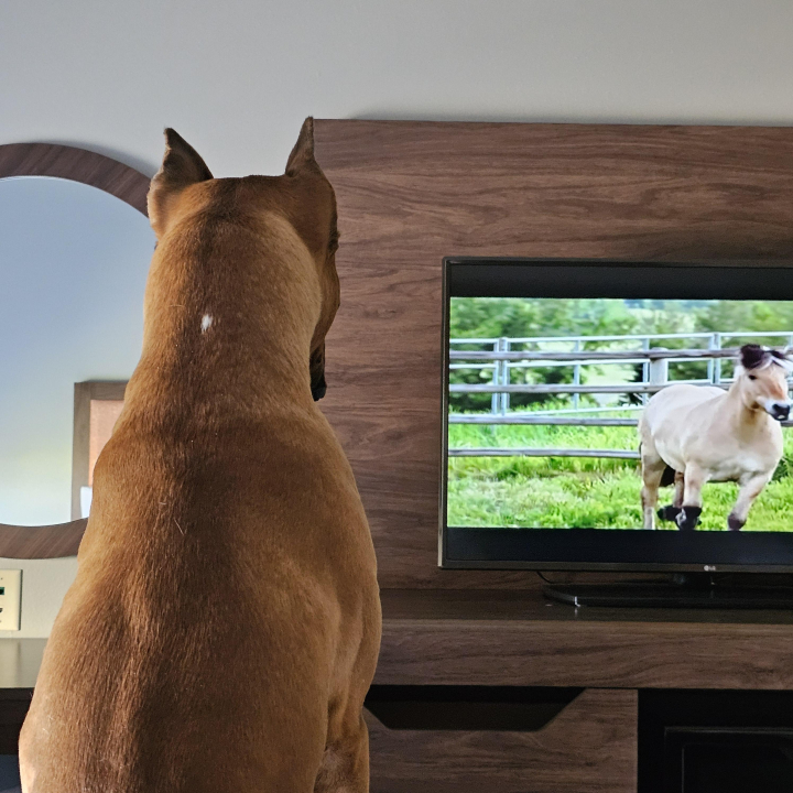 Sherry L Sherry L Ames - Class of 1973 - Wray High School