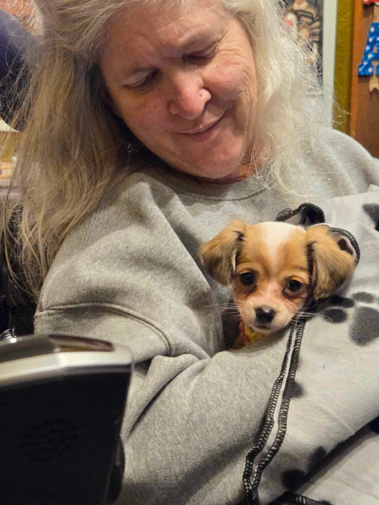 Deb Eisenbacher - Class of 1982 - Algona High School