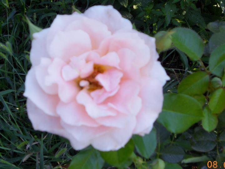 Flo Fisher - Faculty - Eldora-new Providence High School