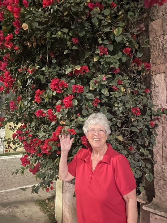 Gail Watts - Class of 1967 - Dallas High School