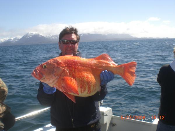 George Wells - Class of 1979 - North Valley High School