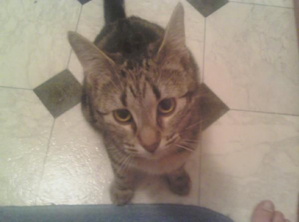 Autum Smith - Class of 2001 - Woodbury Central High School