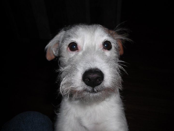 Jack Russell - Class of 1971 - Tigard High School