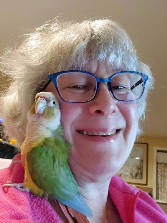 Suzanne Krom - Class of 1970 - Bellevue High School