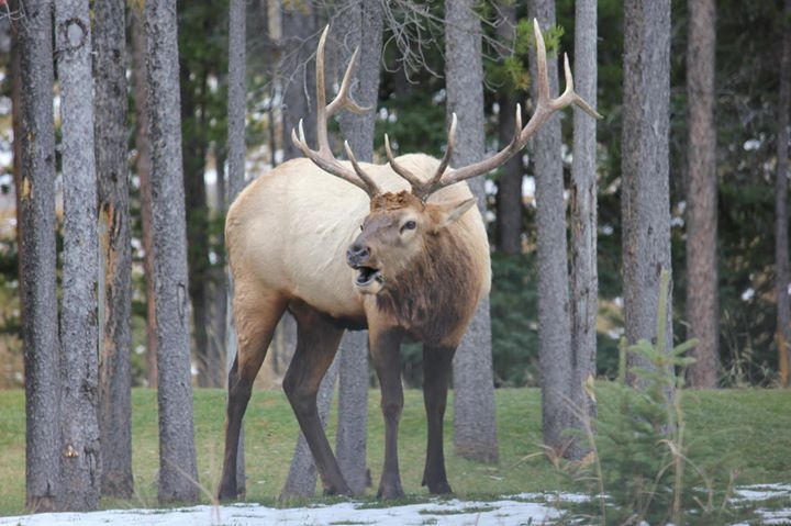 Mike Miller - Class of 1974 - Ellensburg High School