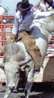 David Mccurdy - Class of 1982 - Grandview High School