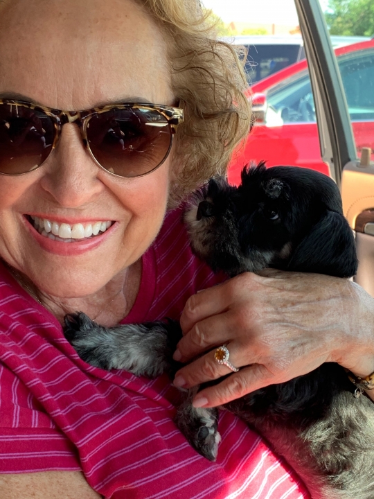 Joy Van Valkenburg - Class of 1962 - Okemos High School