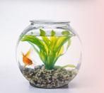 Nancy Betancourt - Class of 1969 - Alcee Fortier High School