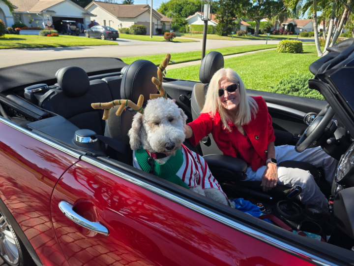 Susan Klusendorf - Class of 1986 - Hinsdale Central High School