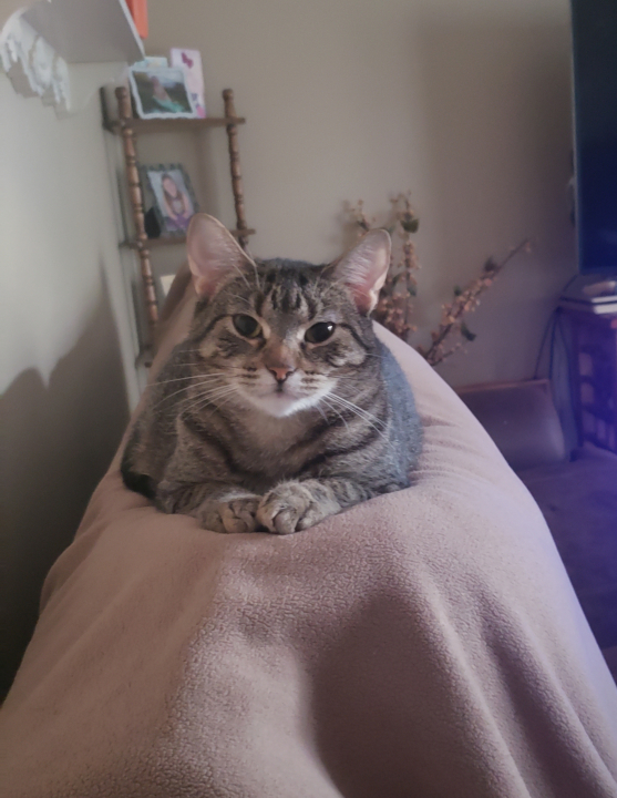 Jamie Frost - Class of 2006 - Johnson Creek High School