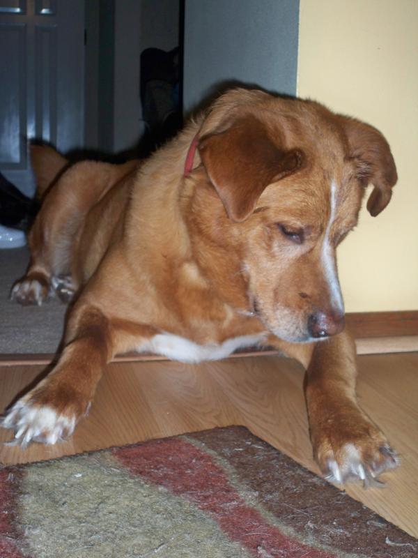 Warren Tesch - Class of 1982 - South Lake High School