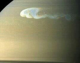 Mark Mayo - Class of 1976 - South Lyon High School