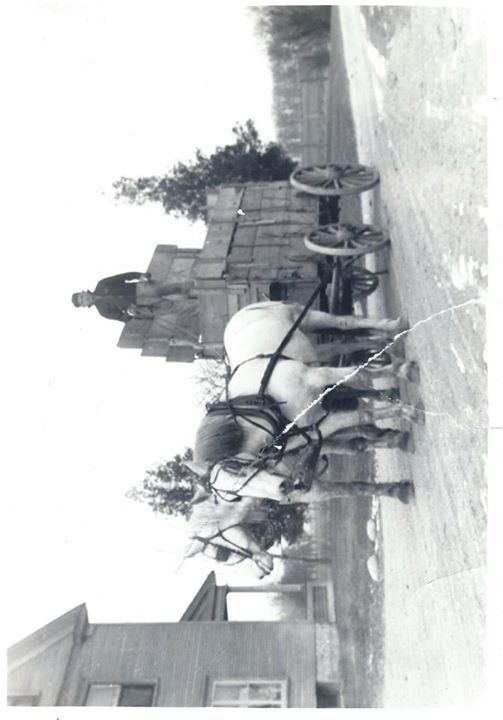 Peggy Yagen - Class of 1978 - Kaneland High School