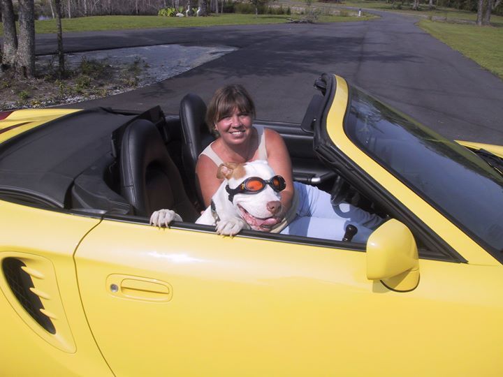 Carol Newman - Class of 1971 - Maine West High School