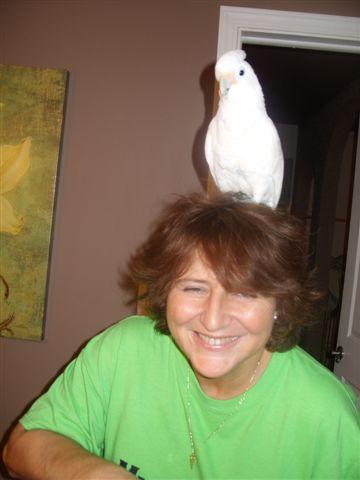 Lisa Phares - Class of 1983 - Cousino High School