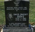 David Dove '80