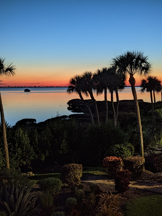 Susan Schnell - Class of 1976 - Ridgewood High School