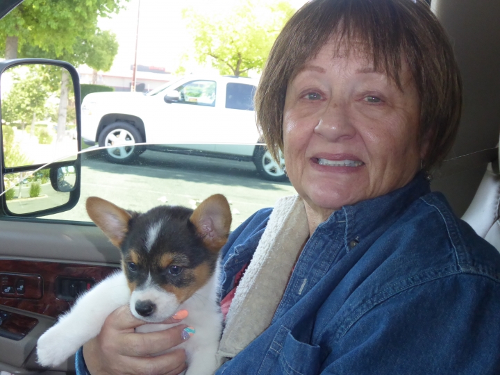 Karen Wilson - Class of 1962 - Mackenzie High School