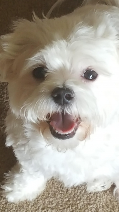 Mike Roney - Class of 1979 - Glen Lake High School