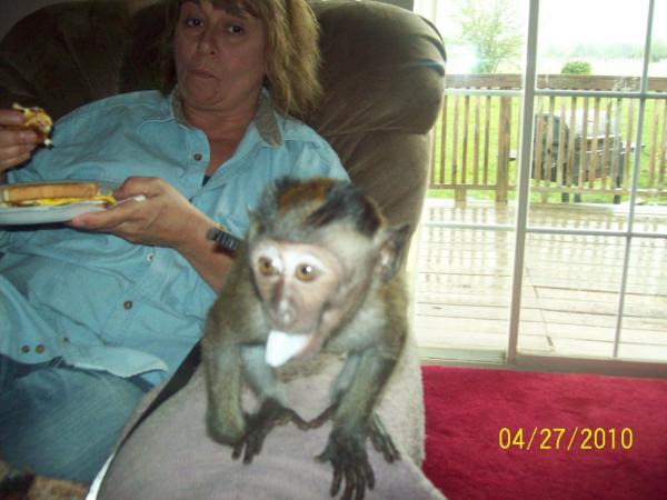 Terri Manfrin - Class of 1980 - Marysville High School