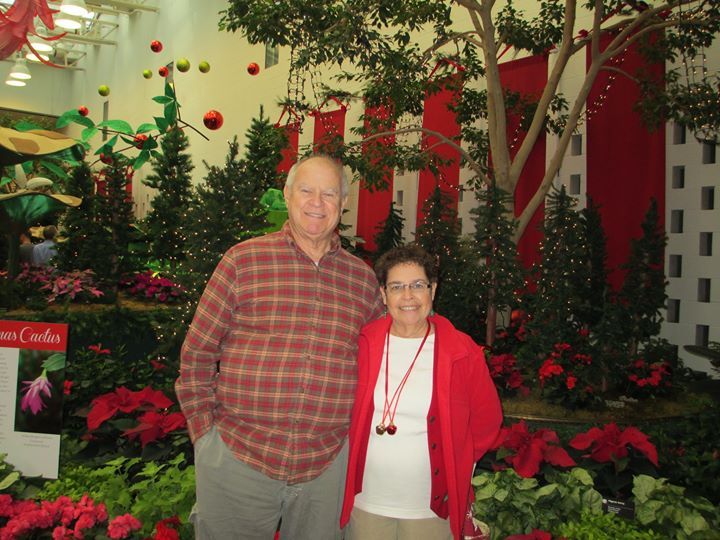 Carol Kelso - Class of 1965 - Edwardsville High School