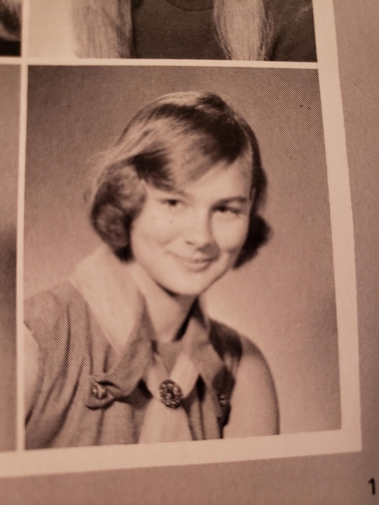 Susan Schinleber - Class of 1970 - Glenbrook North High School