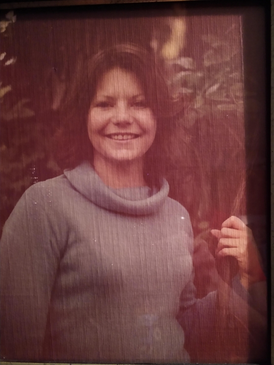 Sue Beneteau - Class of 1978 - Trenton High School
