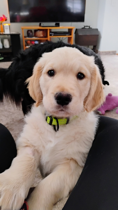 Gloria Fowler - Class of 1977 - Shawnee Mission North High School