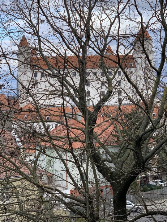 Ken Phipps - Class of 1977 - Marple Newtown High School