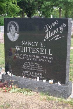 Nancy E Borst Whitesell