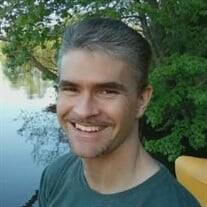 David Hawkins