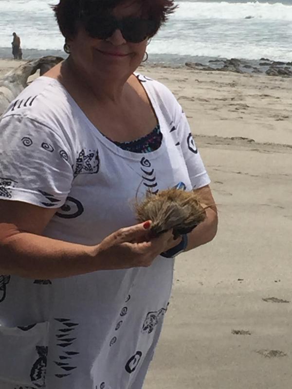 Carolyn Sue Garrison Jarvis